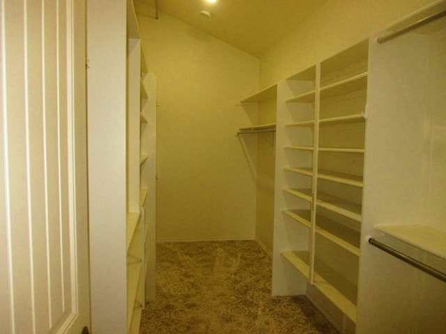 walk in closet featuring carpet flooring