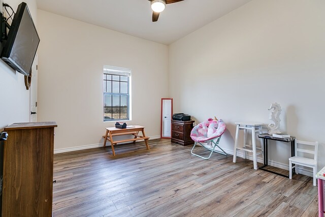 miscellaneous room with ceiling fan and light wood-type flooring