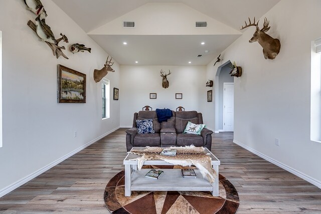 living room with wood-type flooring and lofted ceiling