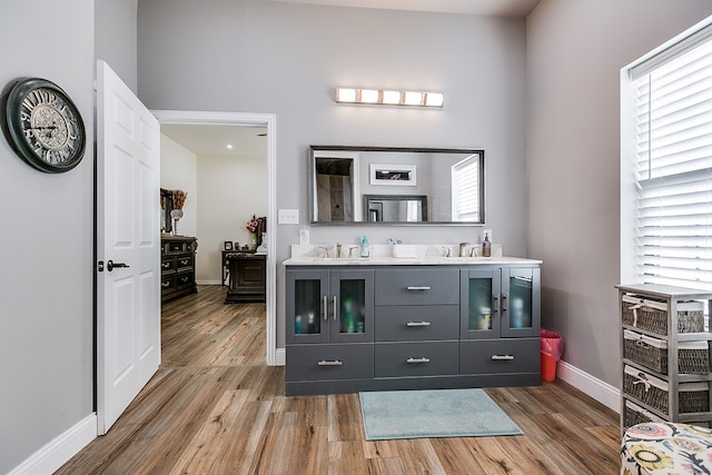 bathroom featuring wood-type flooring and vanity