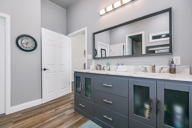 bathroom with vanity and wood-type flooring