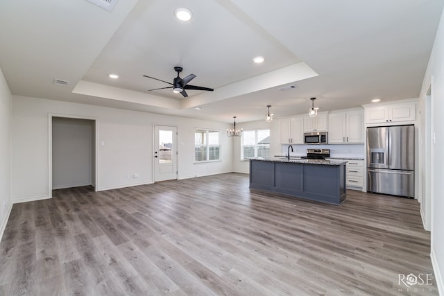 kitchen with appliances with stainless steel finishes, a raised ceiling, open floor plan, and wood finished floors