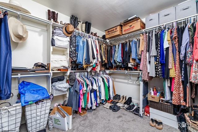 walk in closet with carpet floors