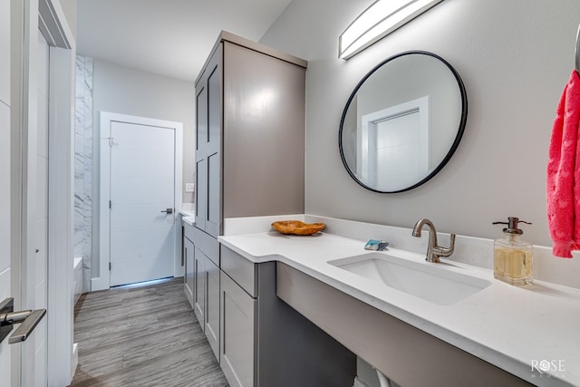 4992 Silver Creek Pass, San Angelo, TX 76904 - bathroom featuring vanity, wood finished floors, and  shower combination