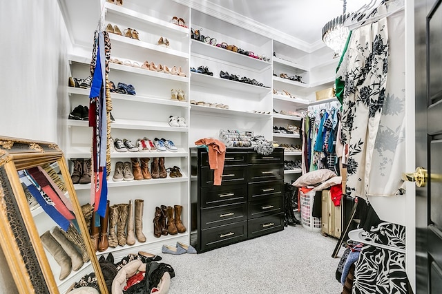 spacious closet featuring carpet floors