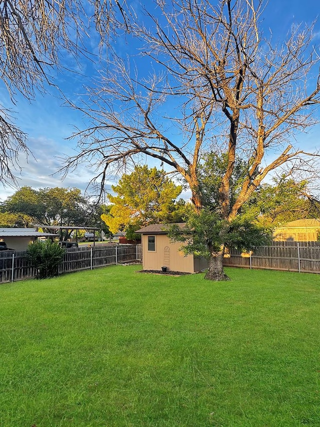 3302 Southland Blvd, San Angelo, TX 76904 - fenced backyard with a storage shed