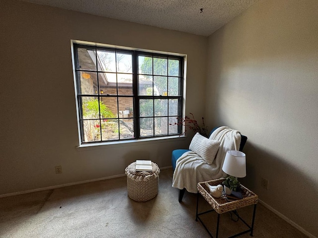 3302 Southland Blvd, San Angelo, TX 76904 - sitting room featuring carpet and a textured ceiling