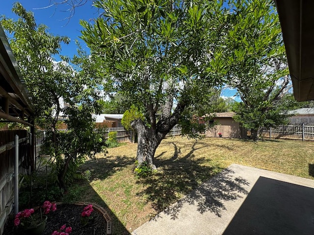 3302 Southland Blvd, San Angelo, TX 76904 - fenced backyard featuring a patio area