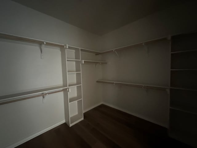 spacious closet with dark wood-type flooring