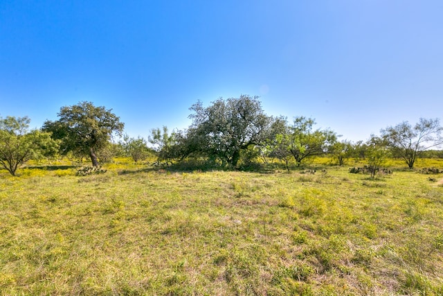 Listing photo 2 for 0 County Rd 478 Unit 85Acres, Coleman TX 76834