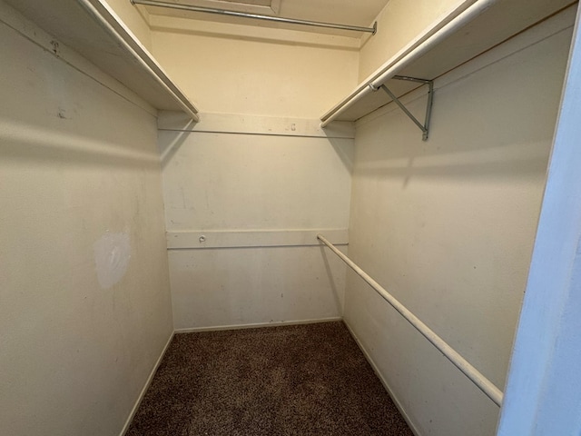 walk in closet with dark carpet