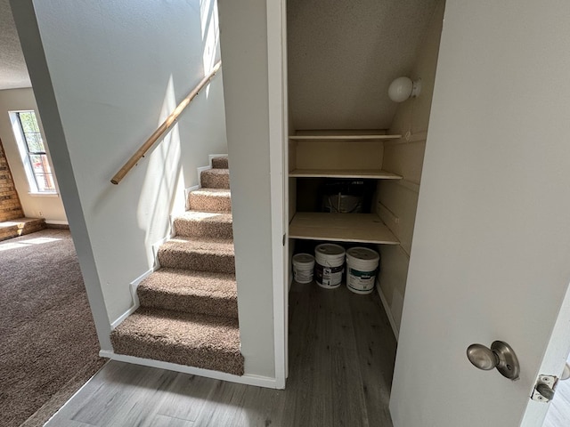 staircase with carpet floors and a textured ceiling