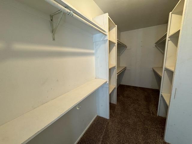 walk in closet featuring dark carpet