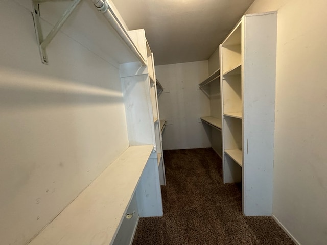 walk in closet featuring dark carpet