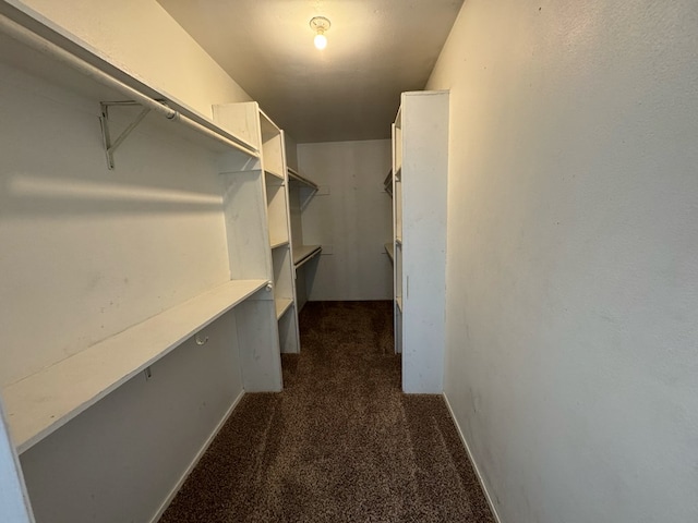 spacious closet with dark colored carpet