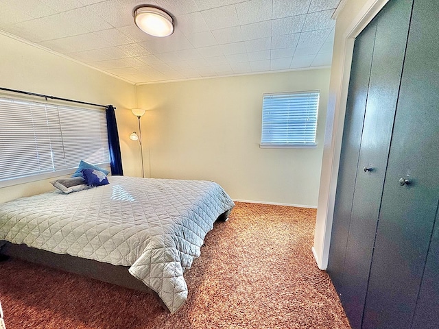 carpeted bedroom with a closet