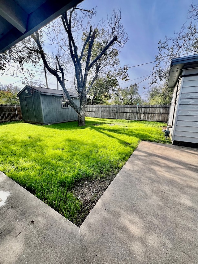 view of yard featuring a storage shed and a patio area