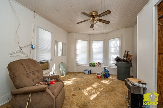 529 Mccord Rd, Eden, TX 76837 - photo 25