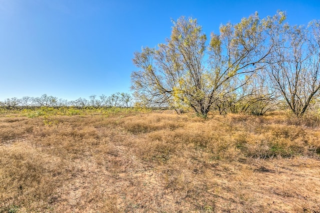 view of nature featuring a rural view