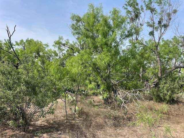 2521 Crk 414, Brady, TX 76825