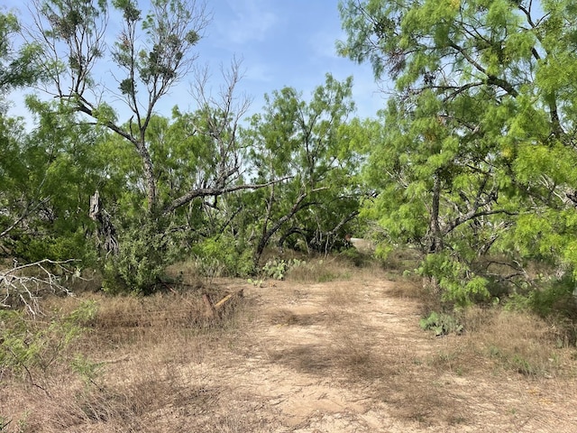 2521 Crk 414, Brady, TX 76825