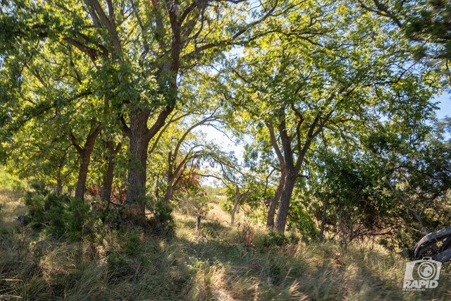 view of local wilderness