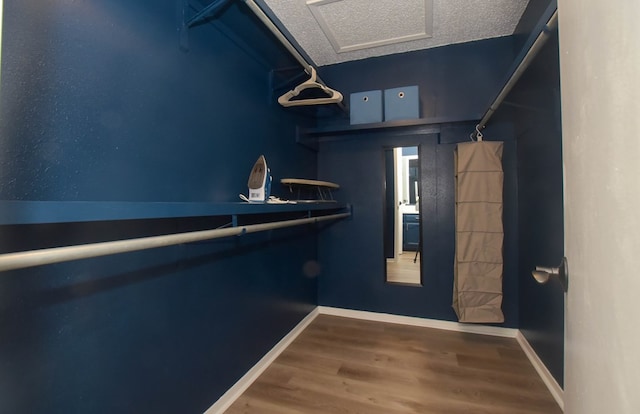 walk in closet featuring hardwood / wood-style flooring