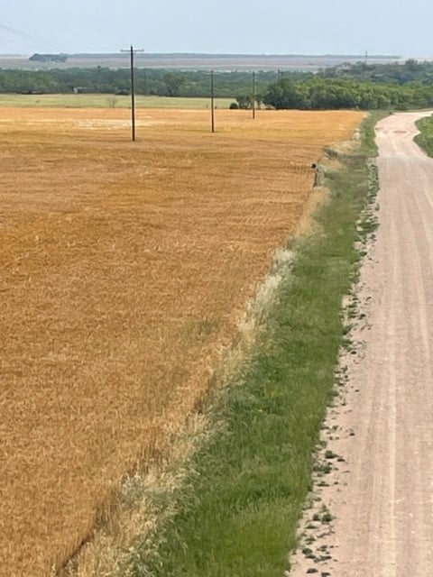 000 County Rd 289, Ballinger, TX 76821 - photo 2