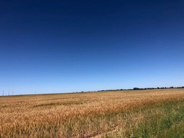 000 County Rd 289, Ballinger, TX 76821 - photo 12