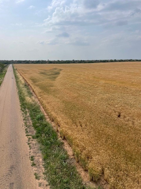 000 County Rd 289, Ballinger, TX 76821 - photo 5