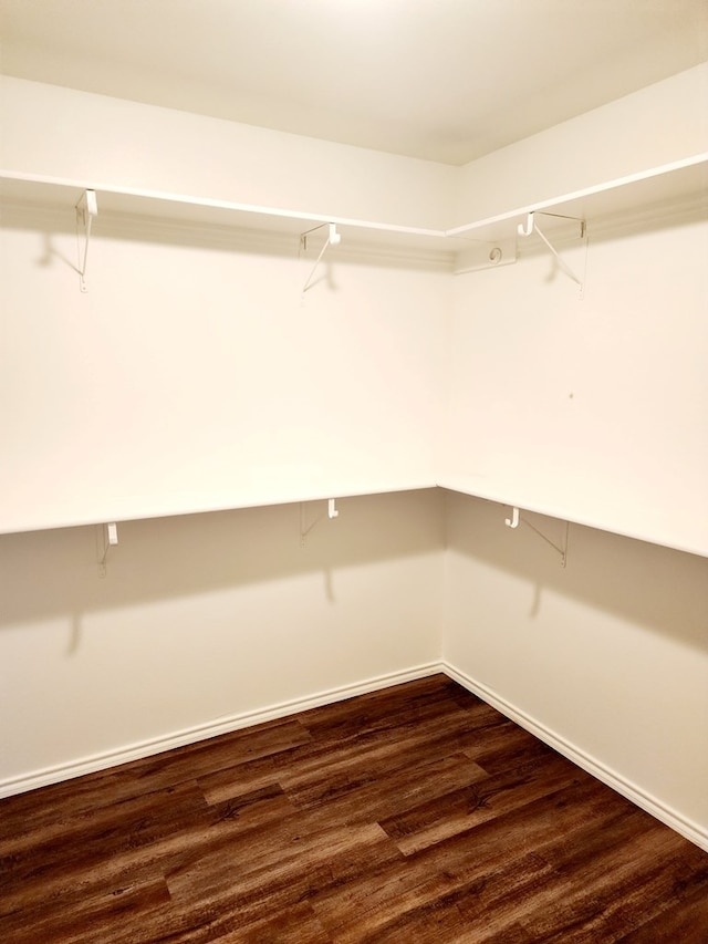 spacious closet with dark wood finished floors