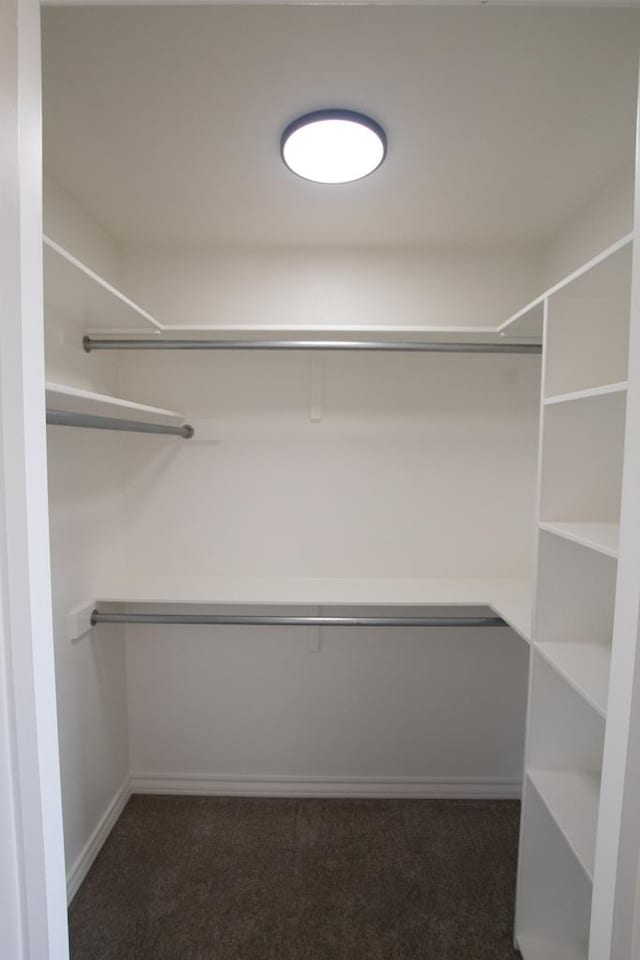 walk in closet featuring dark colored carpet