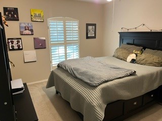 view of carpeted bedroom