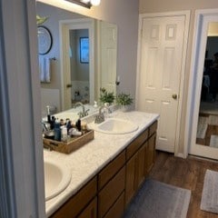 bathroom featuring hardwood / wood-style flooring and vanity