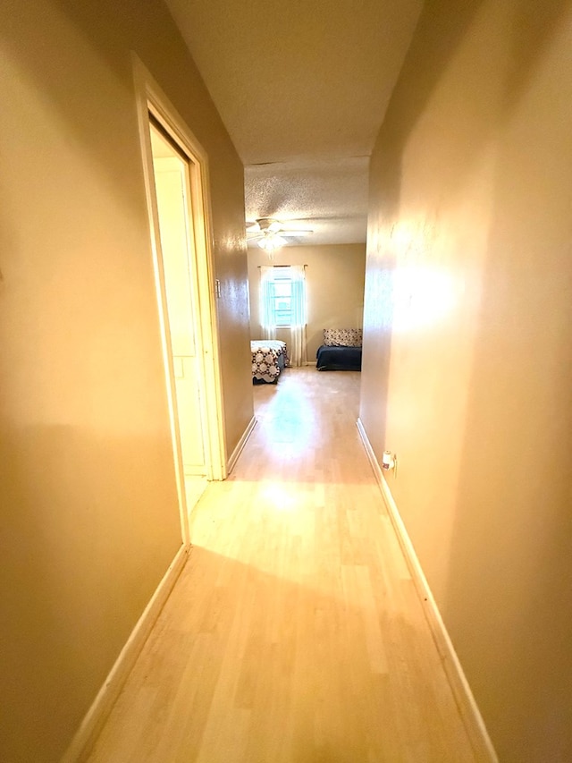 hallway featuring hardwood / wood-style floors and a textured ceiling