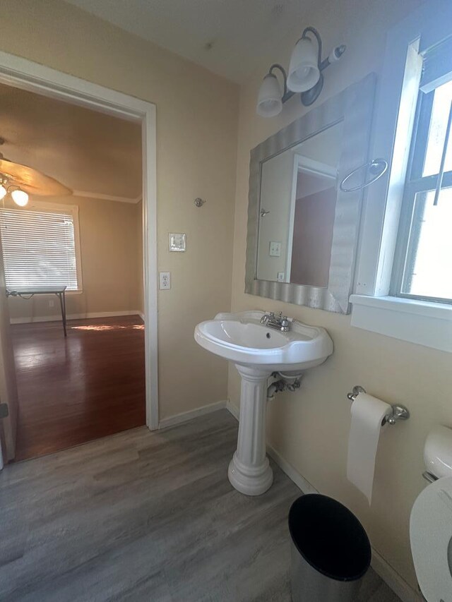 bathroom with toilet, hardwood / wood-style floors, and a wealth of natural light