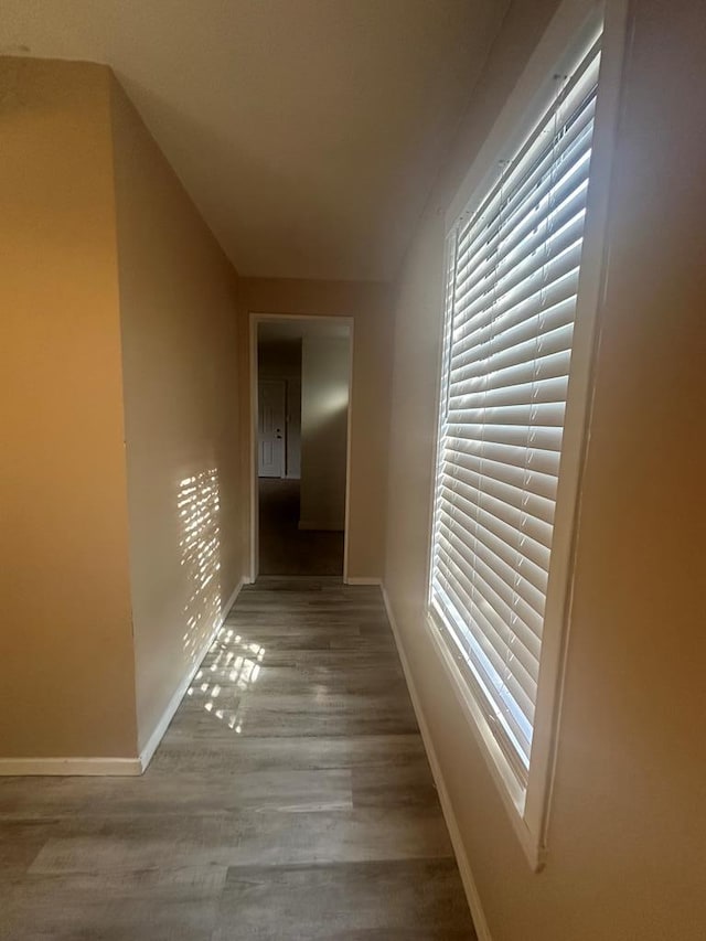 hall with wood-type flooring