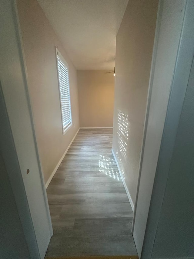 corridor featuring hardwood / wood-style floors