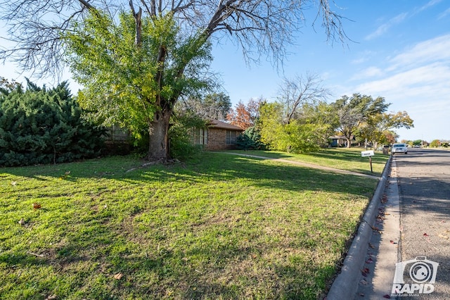 view of yard