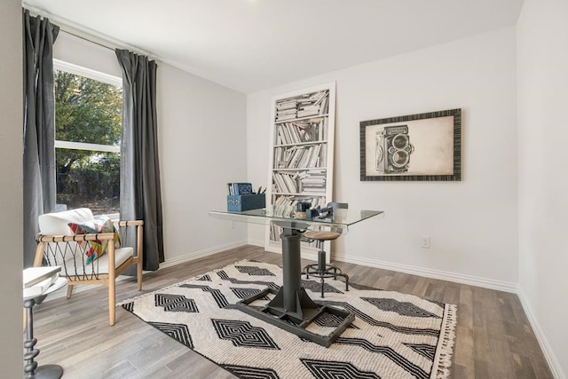 office space featuring hardwood / wood-style floors