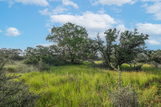 HWY87 Other, Eden, TX 76837 - photo 18