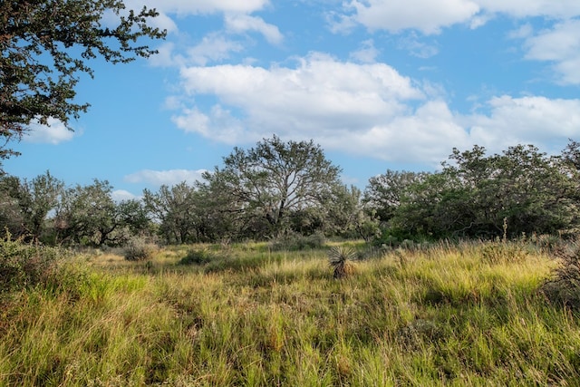 HWY87 Other, Eden, TX 76837 - photo 13