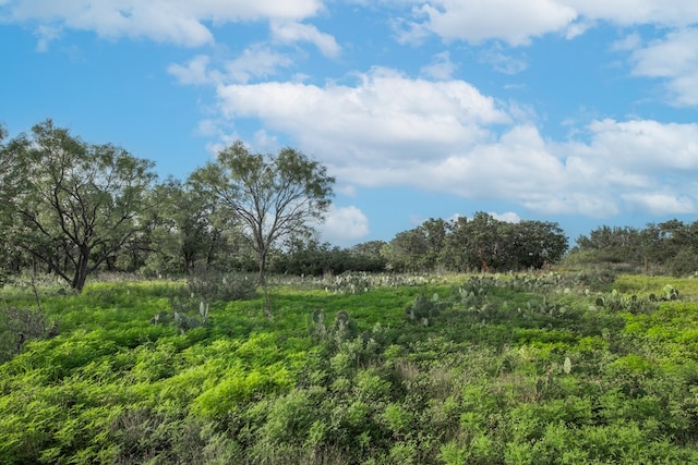 HWY87 Other, Eden, TX 76837 - photo 34