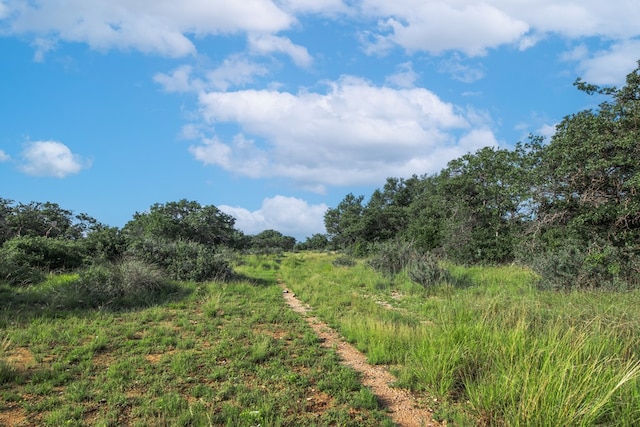 HWY87 Other, Eden, TX 76837 - photo 51