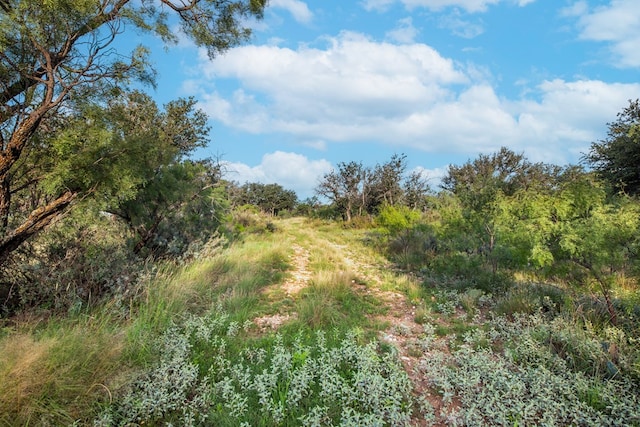 HWY87 Other, Eden, TX 76837 - photo 2