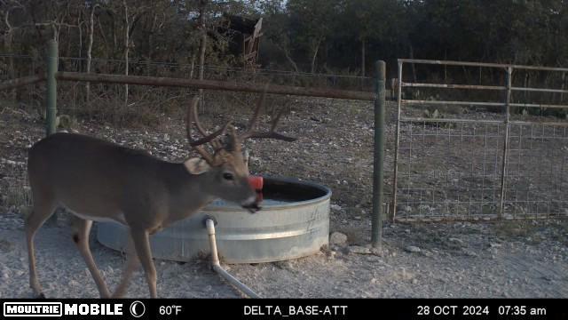 HWY87 Other, Eden, TX 76837 - photo 60