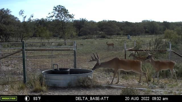 HWY87 Other, Eden, TX 76837 - photo 61