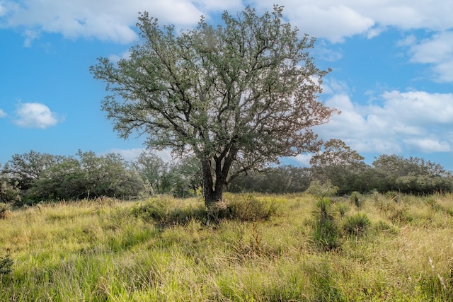 HWY87 Other, Eden, TX 76837 - photo 14