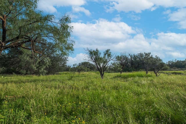HWY87 Other, Eden, TX 76837 - photo 27
