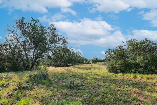 HWY87 Other, Eden, TX 76837 - photo 52